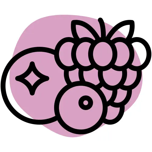 Berry Flavour Nicotine Pouches