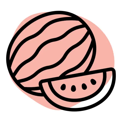 Watermelon Flavour Nicotine Pouches