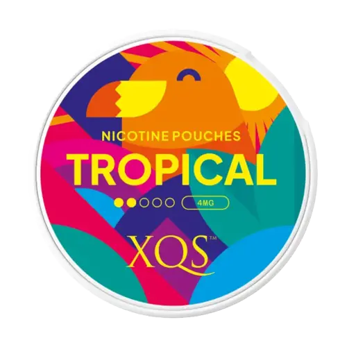 XQS Nicotine Pouches